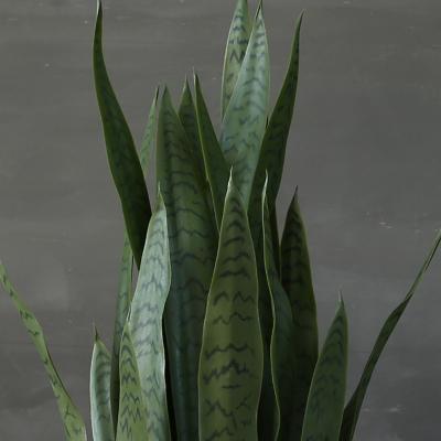 中国 人工的な鉢植えな盆栽のリュウゼツランの植物の着陸は屋内装飾を飾る 販売のため