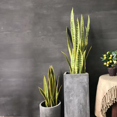 中国 人工的な鉢植えな盆栽のリュウゼツランの植物の着陸は屋内装飾を飾る 販売のため