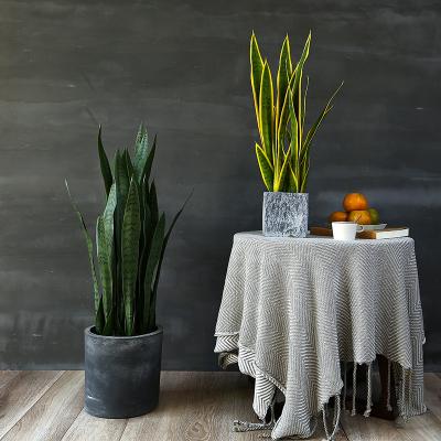 中国 人工的な鉢植えな盆栽のリュウゼツランの植物の着陸は屋内装飾を飾る 販売のため