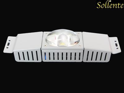 China Anti Glare 30w Street Light COB LED Modules With Waterproof Meanwell Driver for sale