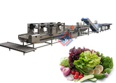 China Salad Production Line Fruit And Vegetable Processing Washing Cutting Line for sale