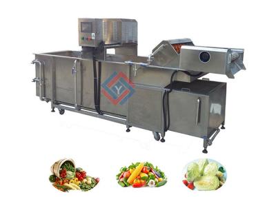 China Air Bubble Type Fruit and Vegetable Washing Equipment Supplier for sale