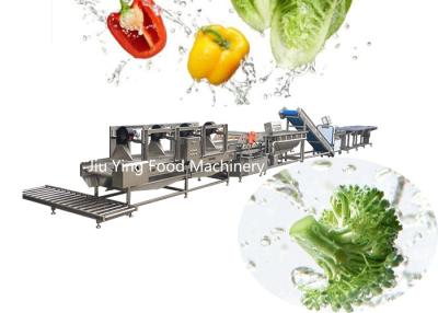 China Linha de processamento congelada congelada máquina do fabricante da salada 1000KG/H quiabo vegetal à venda