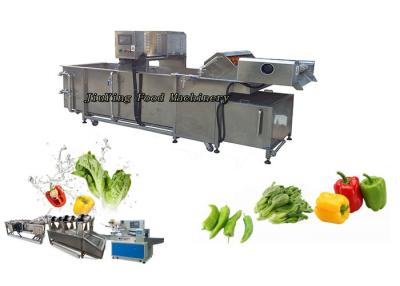 China Customized Vegetable Fruit Washing Machine Salad Lemon Orange Parsley Washer for sale