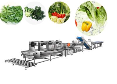 China Auto Salad Production Line Washing Cleaning Frozen Vegetable Bubble Washer for sale