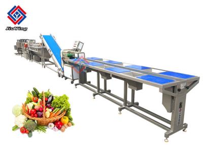China SUS 304 SS Material Frozen Vegetable Production Line For Food Distribute Center for sale