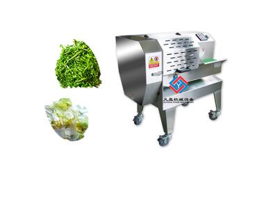 China 500KG/H Fermented Vegetable Processing Equipment / Green Salad Chopper Cutting Machine for sale