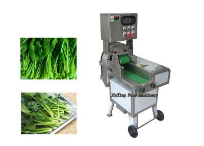 Chine équipement de la transformation 1100W de légumes, machine feuillue de trancheuse de banane d'épinards de Dofu de melon en bambou réglable de légumes à vendre