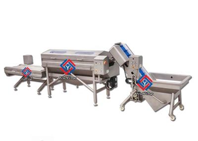 China Restaurant SUS #304 Material Salad Vegetable Production Line For Food Center for sale