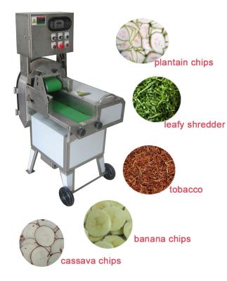 China Multi - Function Vegetable Slicer Machine / Full Automatic Fruit Processing Machines for sale