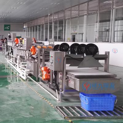 China 1000kg Salad Production Line for sale