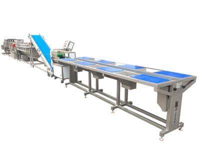 China 3T Leaf Salad Vegetable Washing Processing Line Customized for sale