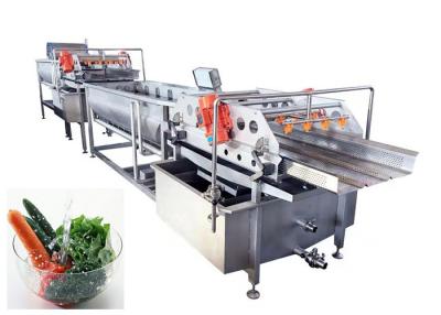 China Customized Stainless Steel Vegetable Fruit Washing Machine For Industry for sale