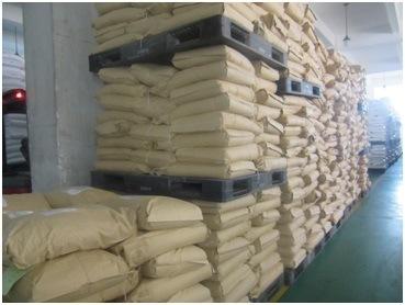 High Quality Food Grade Natamycin Powder