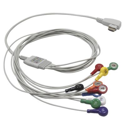 China DMS Holter ECG Cable and Leadwires 10 lead IEC Snap for sale
