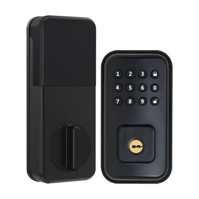 China Biometric Smart Security Magnetic Electric Lock Fingerprint Smart Door Lock for sale
