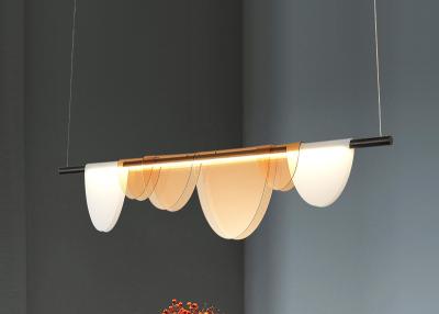 China Modern Fancy Coffee Shop Living Room  Led Hanging Chandelier Pendant Lamp for sale