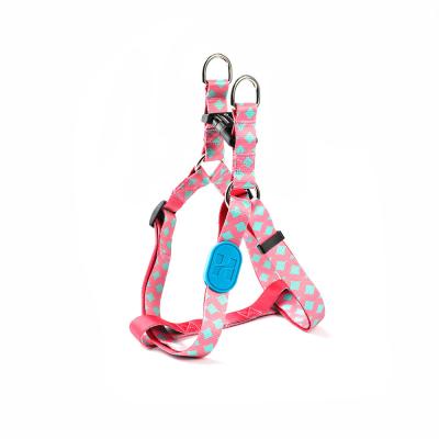 China S M Polyester Webbing Bobby Dog Harness Non Pull Dog Lead for sale