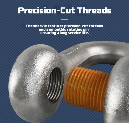 American Type Shackle product view 3