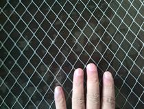 expanded mesh