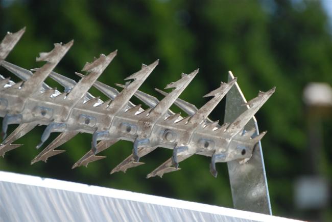 rotary razor spikes