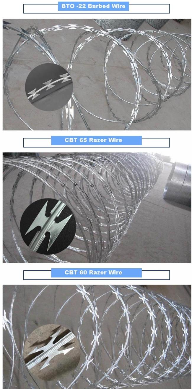 concertina razor wire
