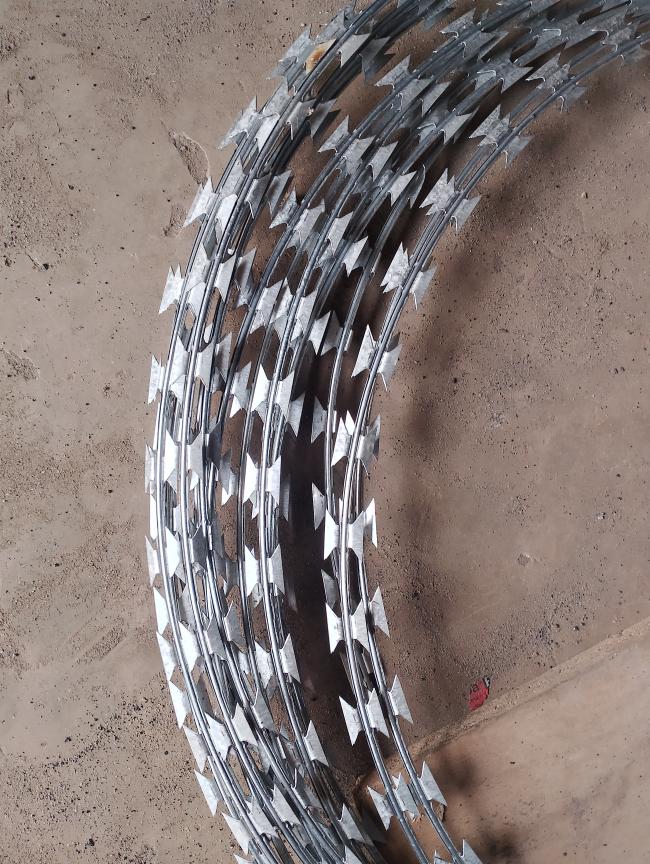 concertina razor wire