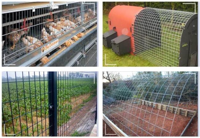 welded wire mesh
