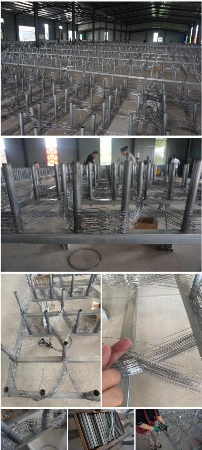 mzp mesh
