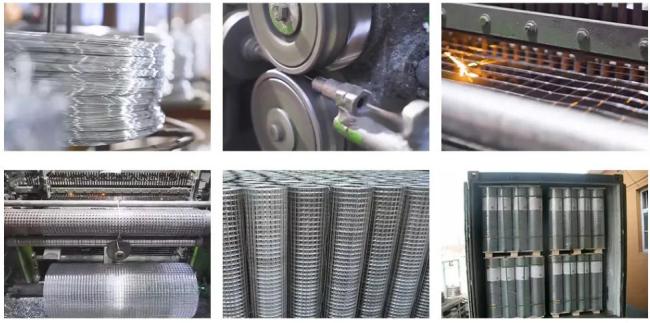 welded wire mesh
