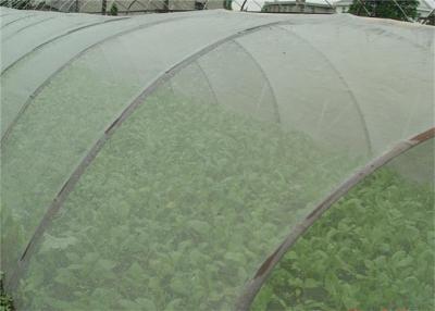 China Durable 5 Years Usage Insect Repellent Net 20x10 Anti Aphid Net Greenhouse for sale