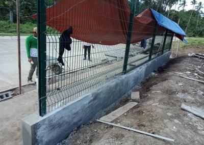 China Pulverice la cerca soldada con autógena cerca curvada 3D revestida del panel de malla de alambre del metal con el poste del melocotón en venta