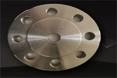 China Flange With Ring Joint Gasket For Offshore Drilling Platforms In Harsh Environments Copper Nickel for sale