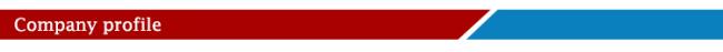 Xrnt (XDR20) -40.5 High-Voltage Current-Limiting Fuse Backup Fuse