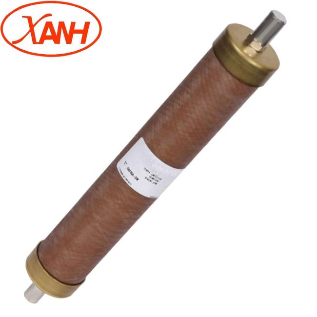 Bay-O-Net Tap Changer Switch Fuse for Oil Transformer Prnt4-15.5/32