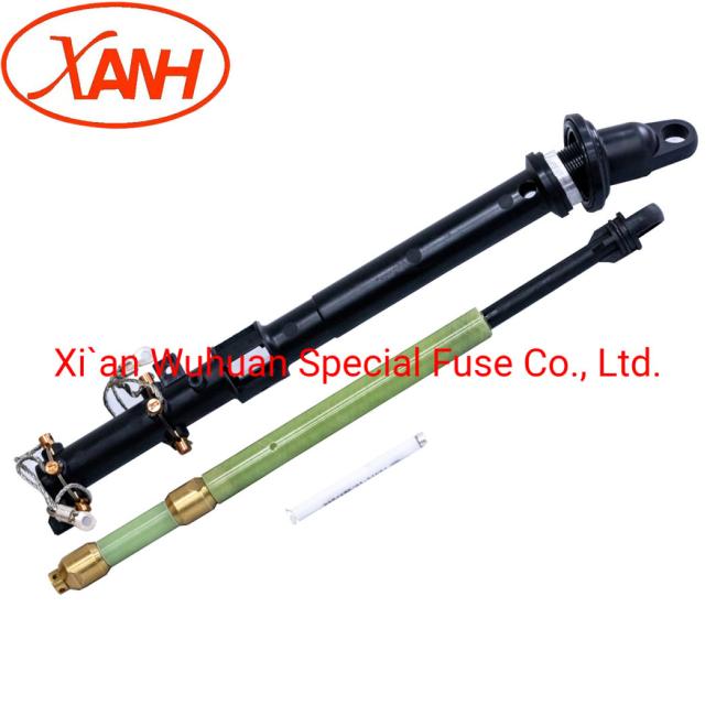 Bay-O-Net Tap Changer Switch Fuse for Oil Transformer Prnt4-15.5/50