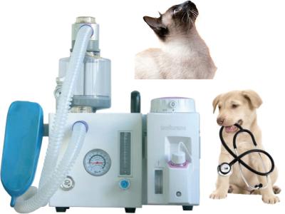 China DM6D Veterinary Anesthesia Ventilator Small Animal Anesthesia System for sale