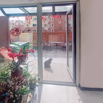 China Smart Home Black Retractable Screen Door Systems Insect Screens for sale