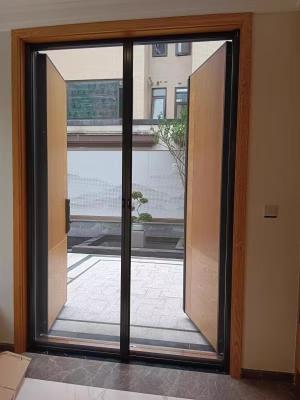 China Aluminum Barrier Free Insect Protection Screen Door for sale