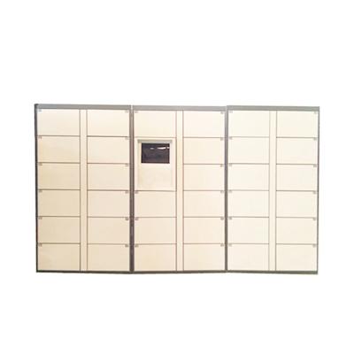 China Automated Logistics Parcel Delivery Lockers Luggage Parcel Locker For Community Company School for sale