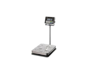 China Waterproof electronic platform Bench Weighing Scale Stainless steel bench scale floor scale for sale