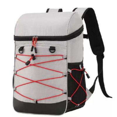 China Insulated Leakproof Lightweight 30 Can Cooler Backpack For Hiking / Camping for sale