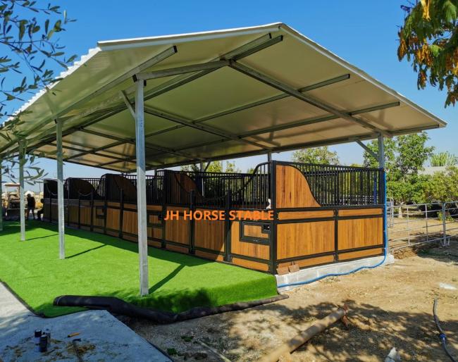 Luxury horse stable with brass fittings