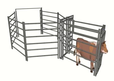 China Feedlot Portable Cattle Yard Panels High Strength Easily Assembled for sale