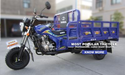 China Gasoline Tuk Tuk Motorcycle With Side Seats , Three Wheeled Chinese Cargo Trike for sale