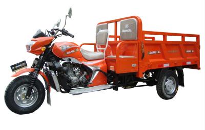 China Double Passenger Seat 150CC 200CC Motorized Cargo Tricycle With Big Wheel for sale