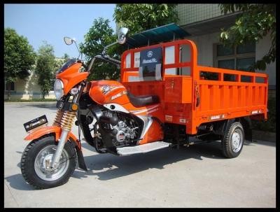China Gasoline Three Wheel Cargo Motorcycle / Motorized Cargo Trike Drum Brake for sale