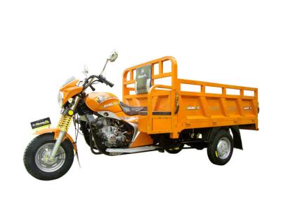 China Shuiyin Motorized Cargo Trike 250cc Three Wheel Motorcycle Gas Or Petrol Fuel for sale