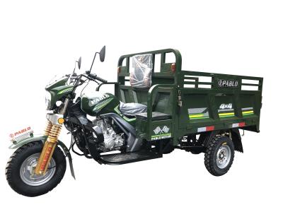 China Water Delivery Gasoline 200cc 3 Wheel Cargo Motorcycle for sale
