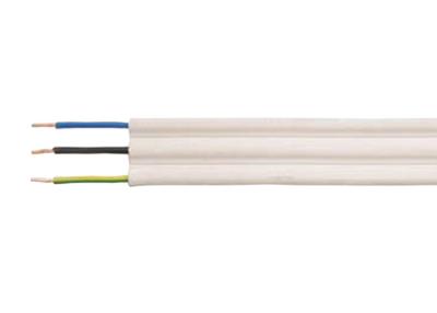 China Low Voltage Copper Conductor PVC Insulated Cables For Plaster for sale